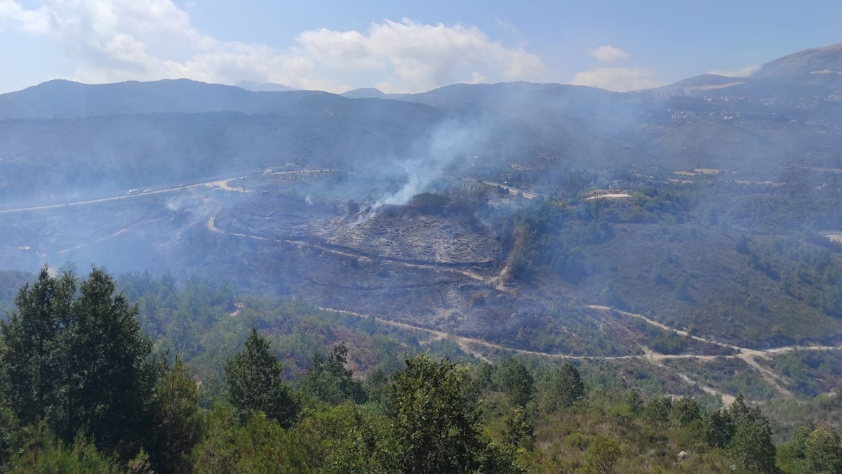 Suriye'deki orman yangını Türkiye'ye sıçradı
