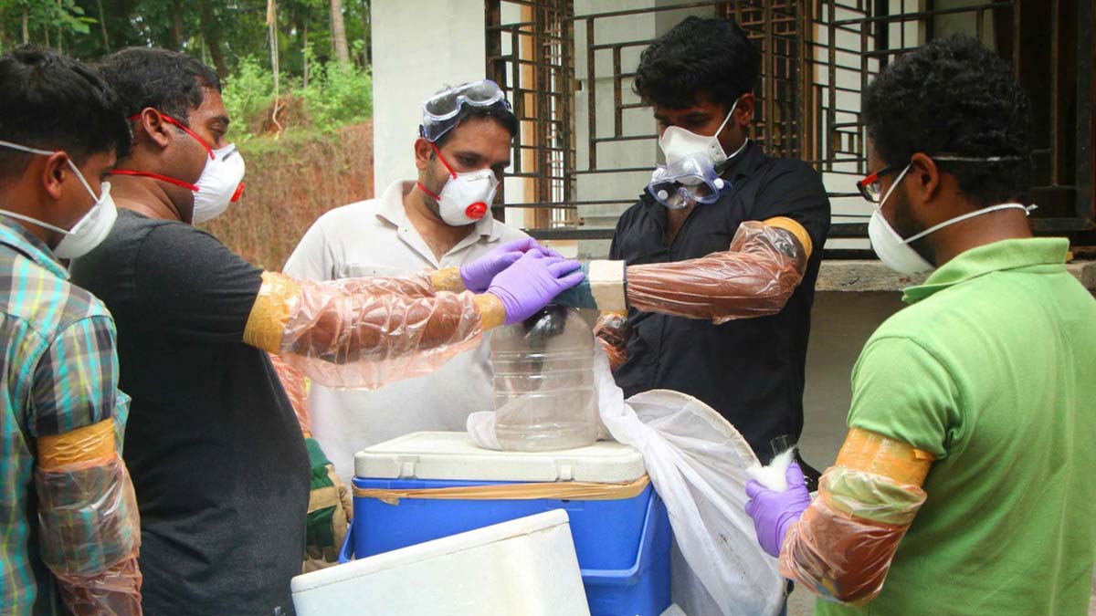 Nipah virüsü nedir, belirtileri neler, aşısı var mı? İşte merak edilenler