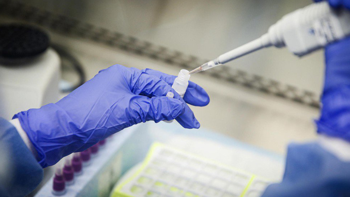 Koronavirüsün yeni mutasyonu: B.1.621