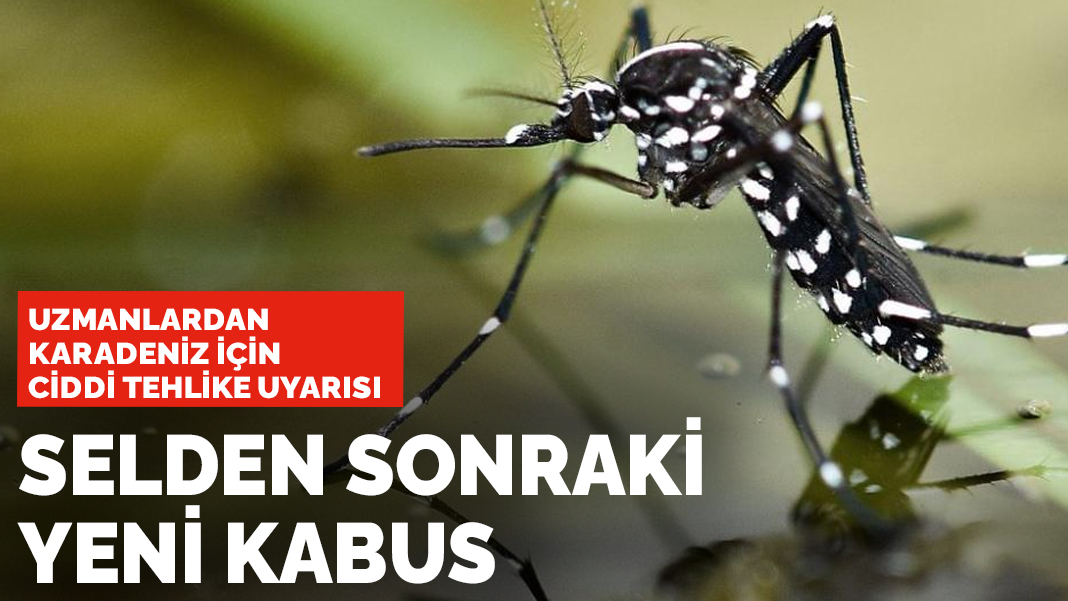 Karadeniz için ciddi tehlike uyarısı: Selden sonra yeni kabus