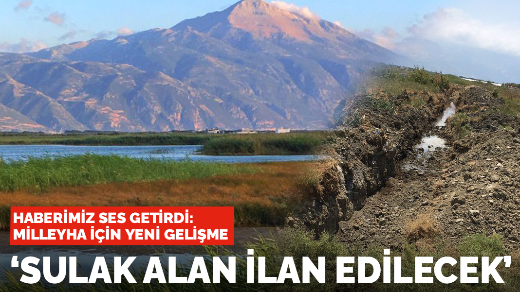 Milleyha için yeni gelişme: Sulak alan ilan edilecek