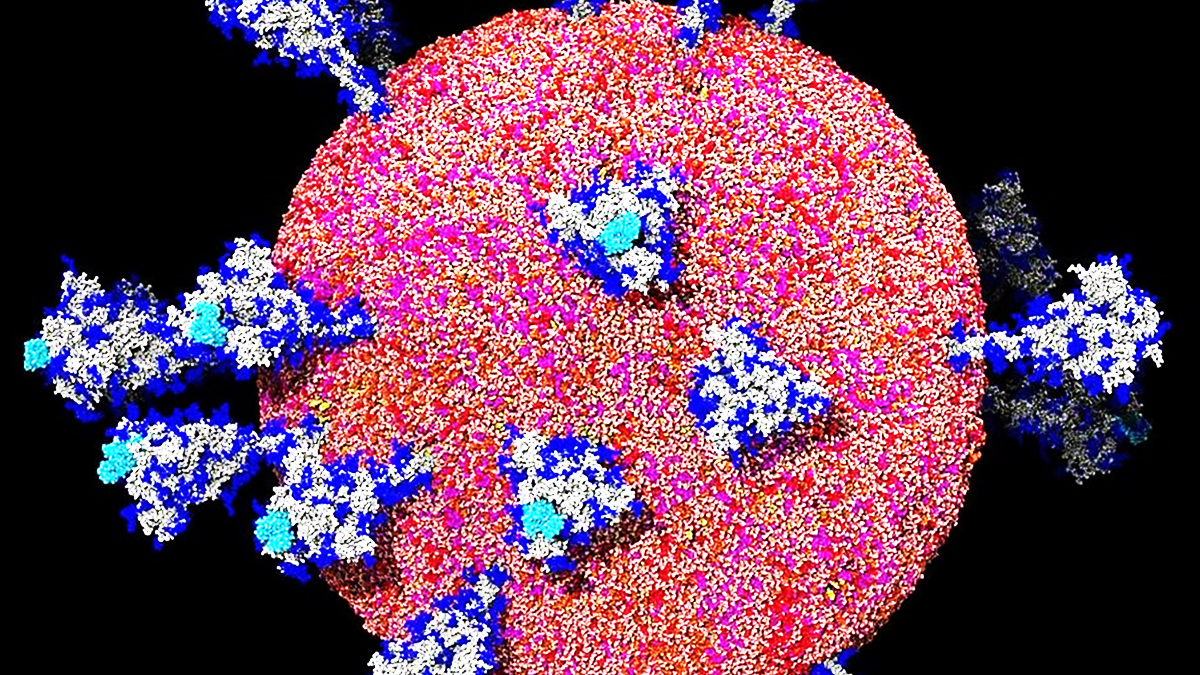 Korona ile ilgili yeni araştırma: Akıl hastalarını daha çok öldürüyor