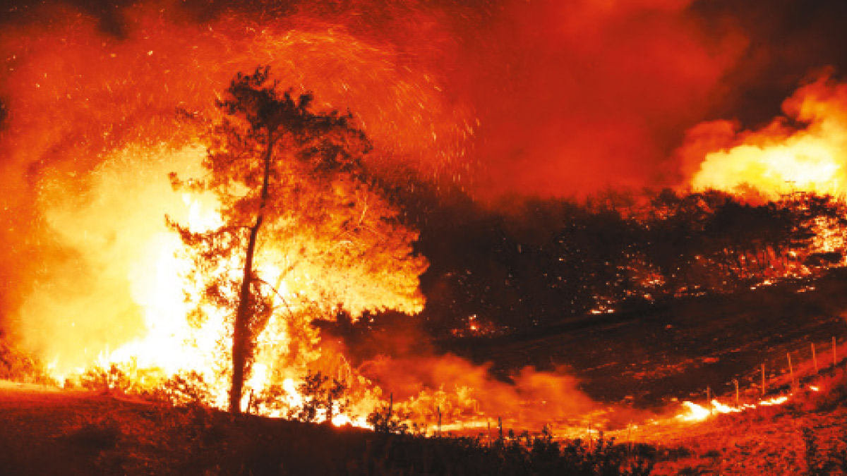 Kıbrıs gezisine 8 felakete 2 uçak