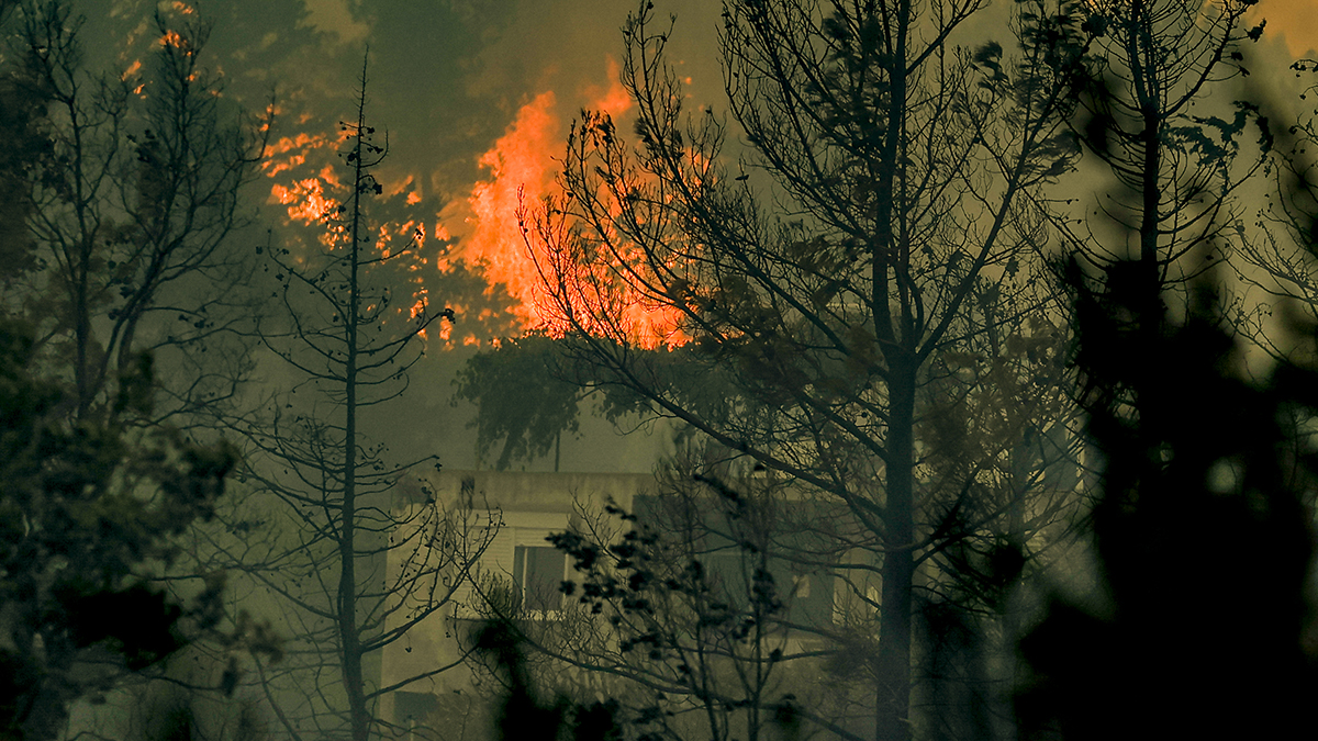 Bakanlık yangınlarla ilgili son bilgileri paylaştı