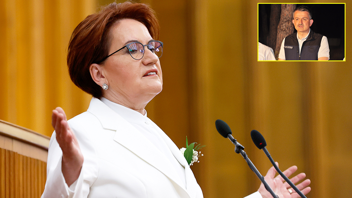 Akşener'den Bakan Pakdemirli'ye tepki: Yine uçak yok, yine müdahaleler yetersiz