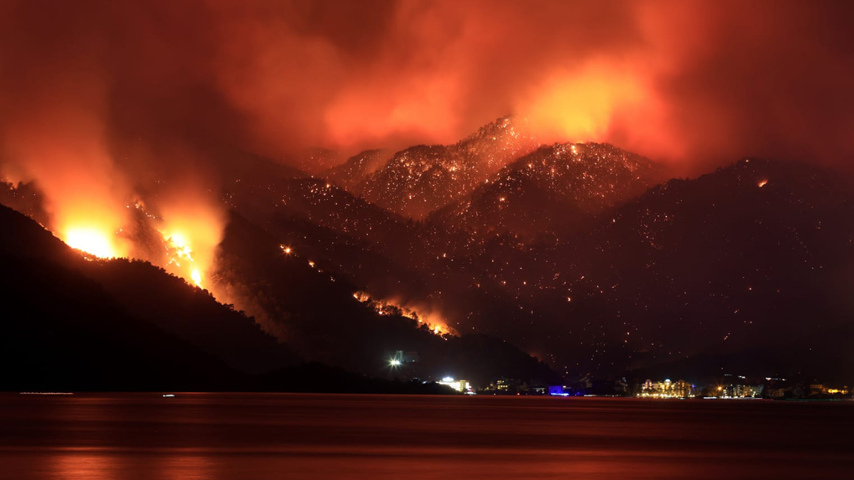 AFAD il il açıkladı! İşte orman yangınlarındaki son durum