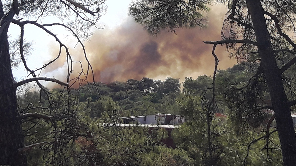 'Elimizden bir şey gelmiyor, bırakın yansın...'