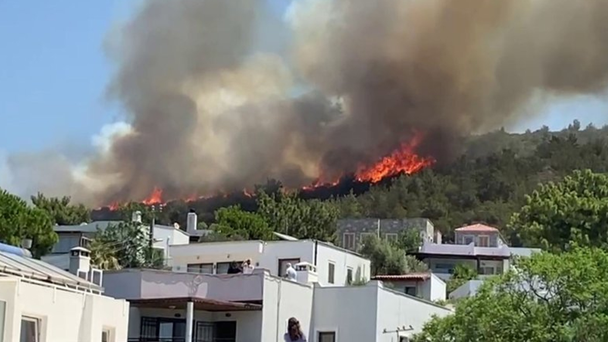 Bodrum'da bir yangın daha! Alevler evlere doğru ilerliyor