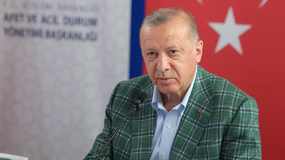 Erdoğan, THK uçaklarının neden kullanılmadığını açıkladı