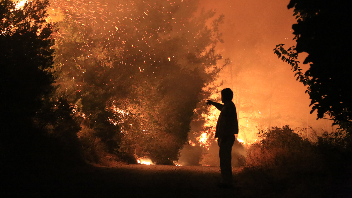 Uzmanlardan önemli uyarılar: Önce plan sonra fidan