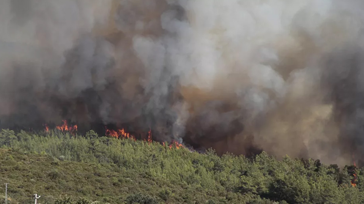 EGM'den orman yangınları açıklaması