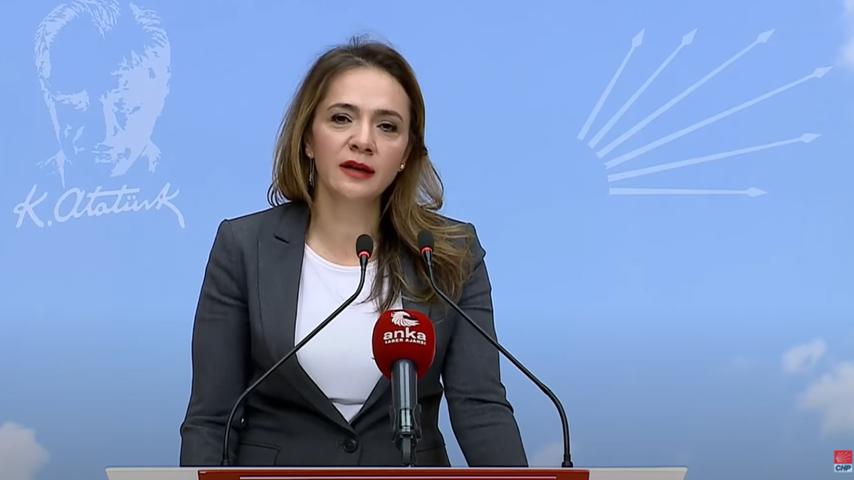 CHP'li İlgezdi: Göç ve entegrasyon bakanlığı kurulmalı