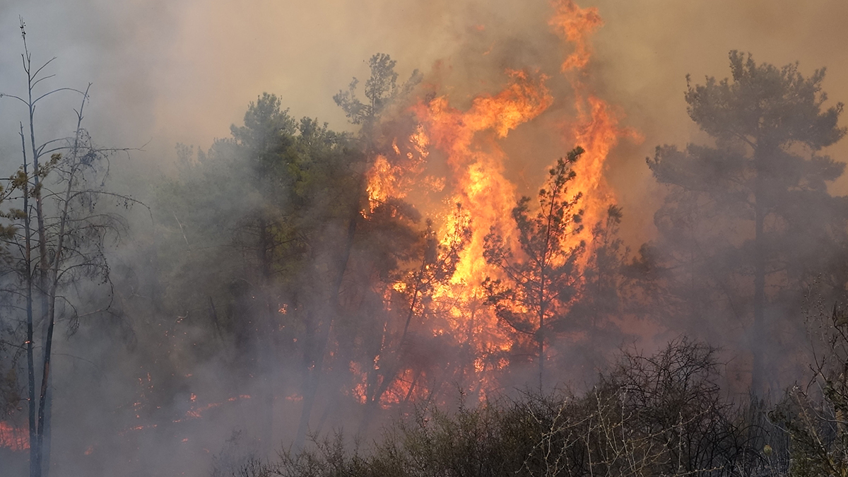 Manavgat'taki orman yangınında bir çift evinde ölü bulundu