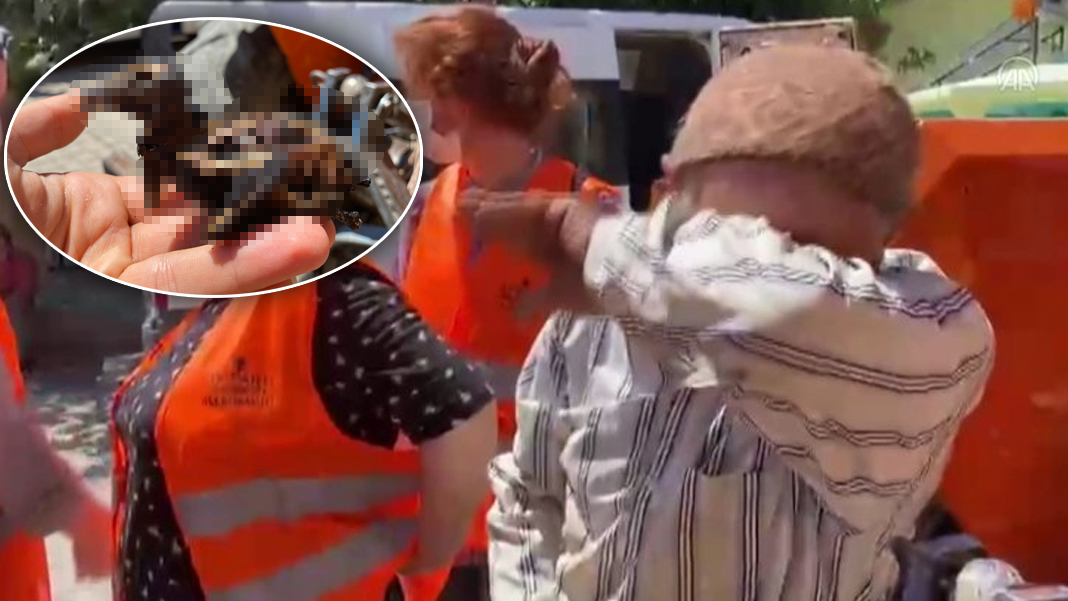 Yangında kahreden görüntü! Kekliklerini görünce gözyaşlarını tutamadı