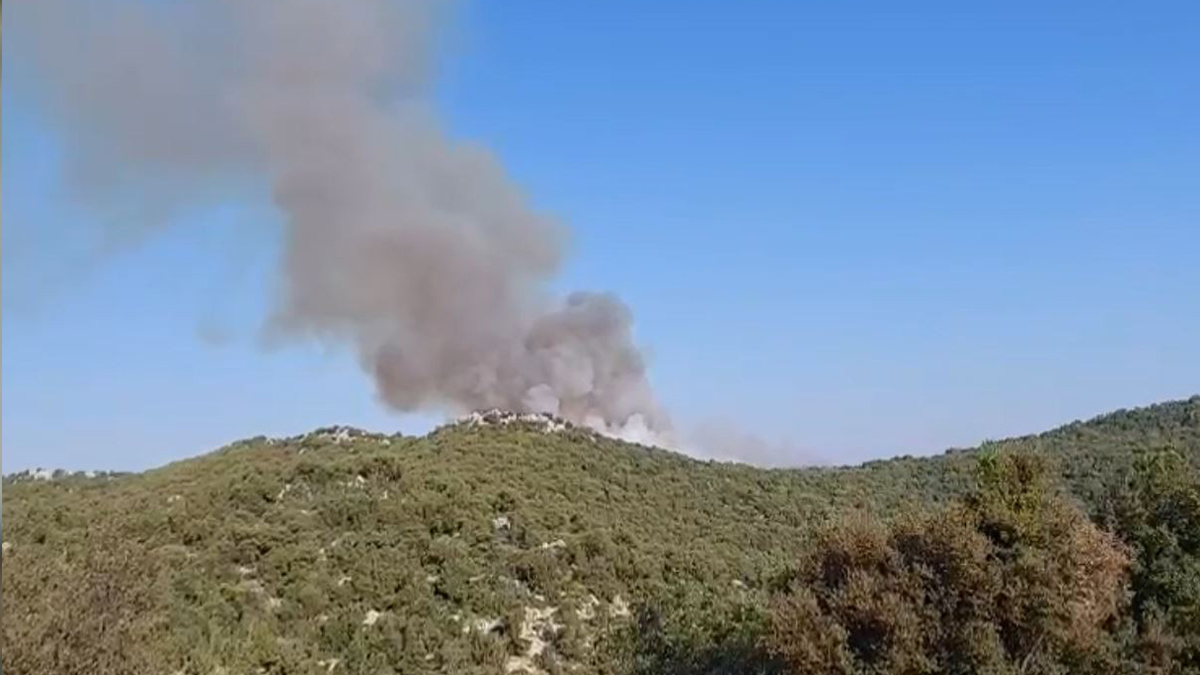 Demre'de de orman yangını