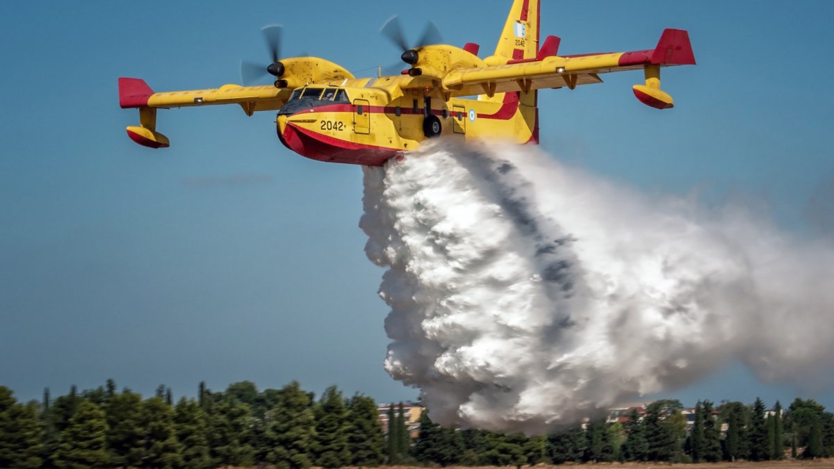 THK Başkanı Cenap Aşçı'dan kafa karıştıran yangın söndürme uçağı açıklamaları