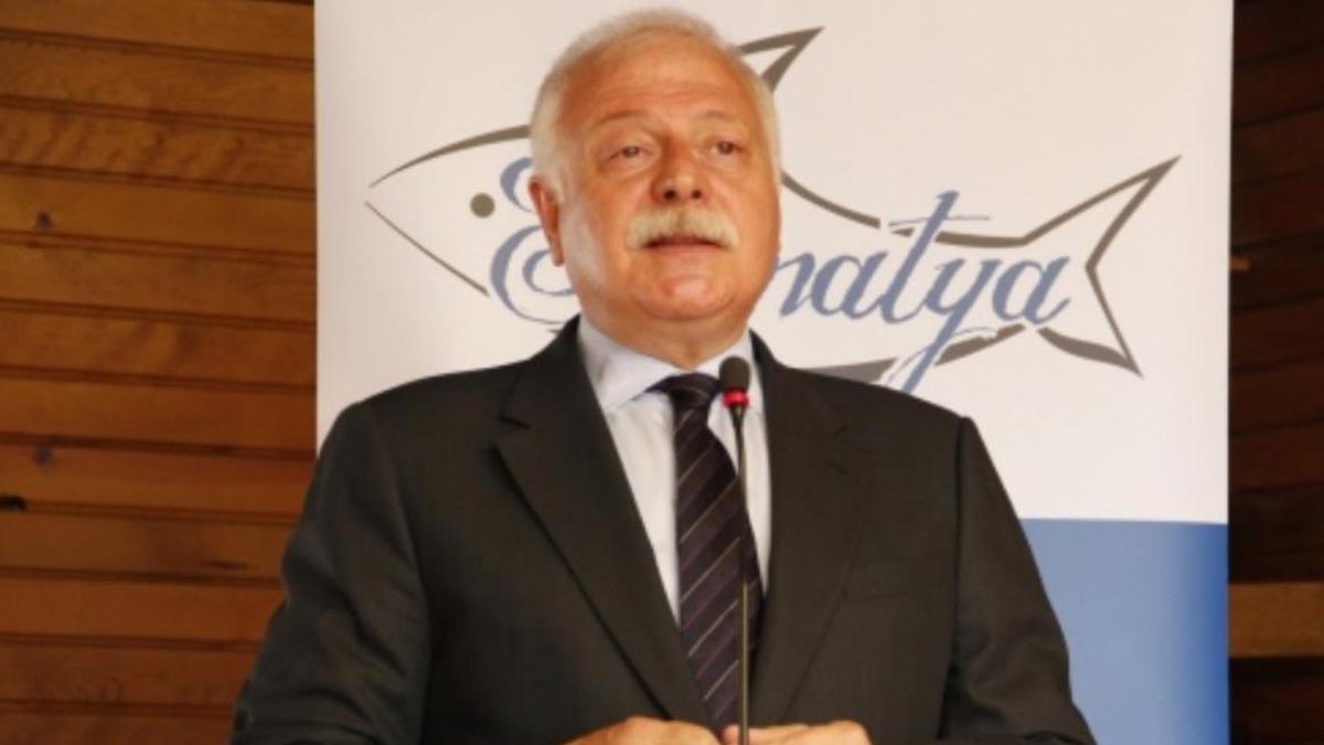 Eski Turizm Bakanı'ndan iktidara orman yangını eleştirisi: Çok kötü yönetildi