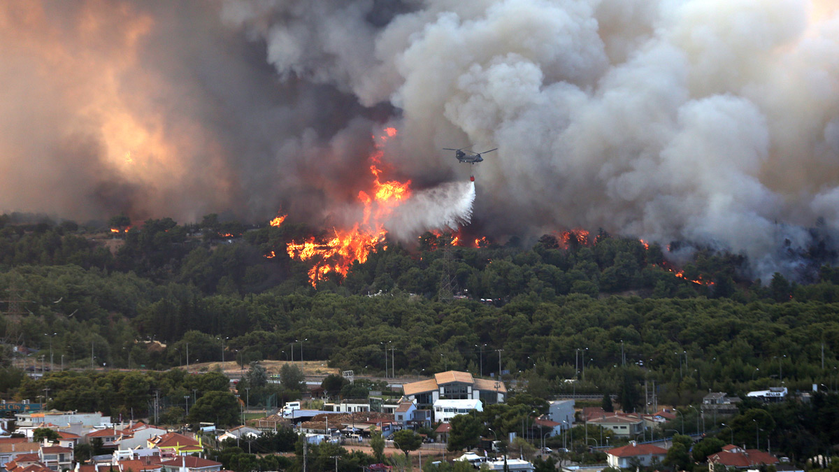 İçişleri Bakanı Süleyman Soylu yangınlarda oluşan zararı açıkladı