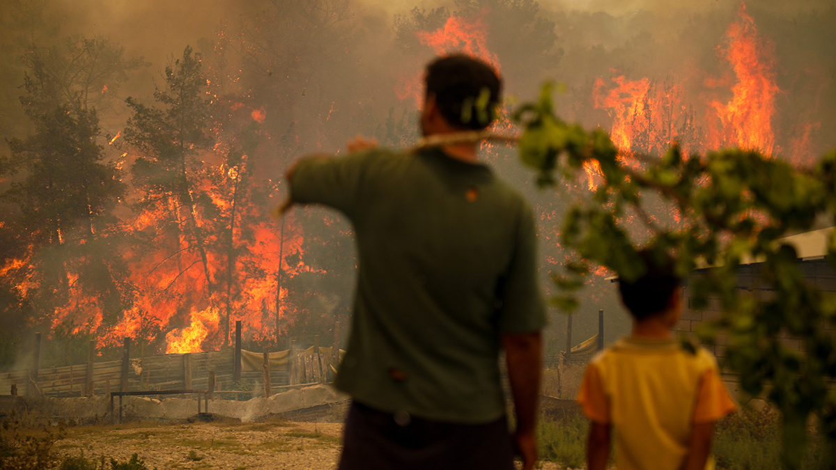 TÜKDES'den 'orman yangınlarını fırsata çevirenleri şikayet edin' çağrısı