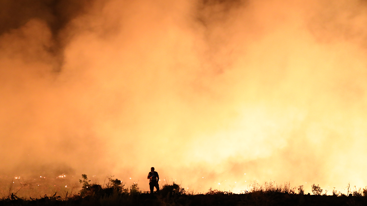 İki bölgede yangına asker müdahalesi