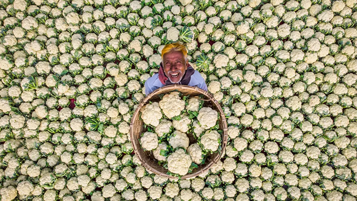 Basın Fotoğrafçılığı Yarışması'nda ödülün sahibi belli oldu