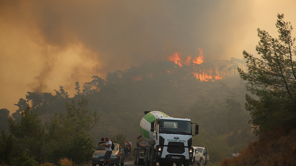 Milas Belediye Başkanı: Yangın, Yeniköy Termik Santrali'ne doğru ilerliyor