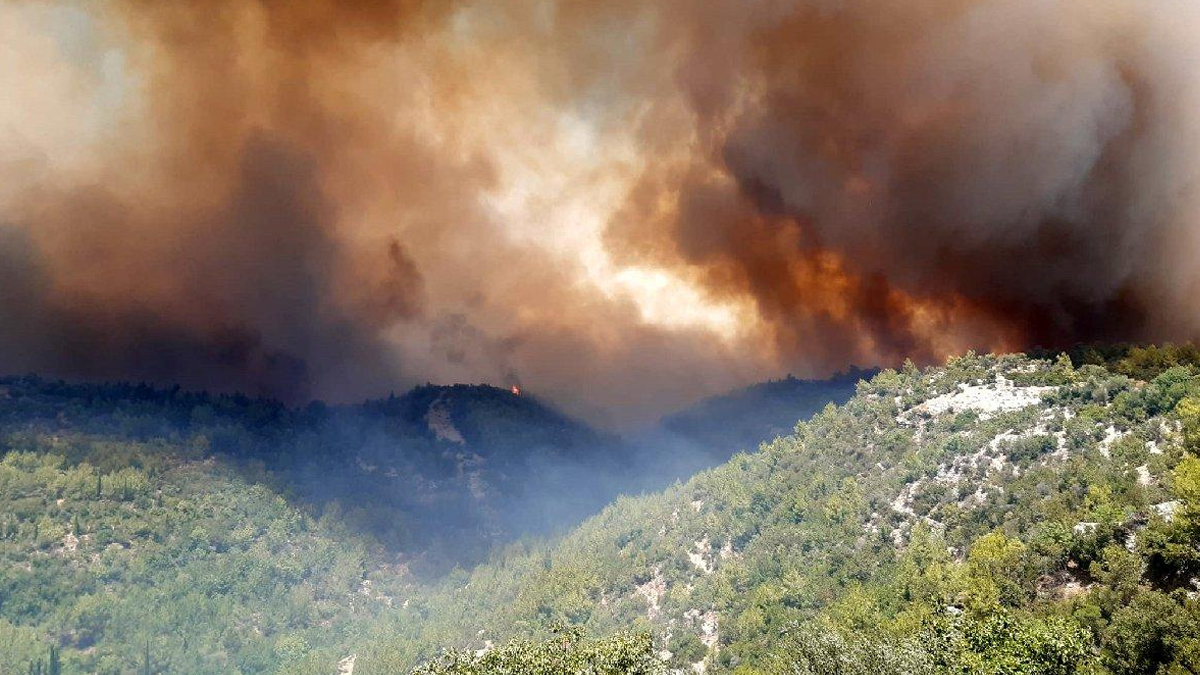 Bilim insanlarının raporu ortaya koymuştu! Manavgat için 6 yıl önce alarm verilmiş