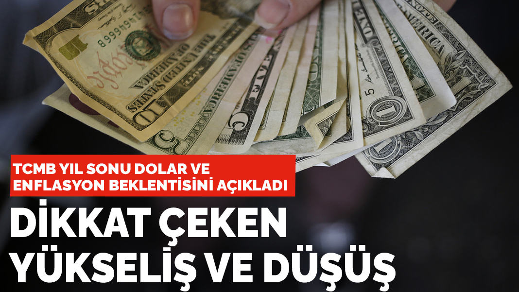 Merkez Bankası'nın yıl sonu dolar ve enflasyon tahmininde dikkat çeken yükseliş ve düşüş