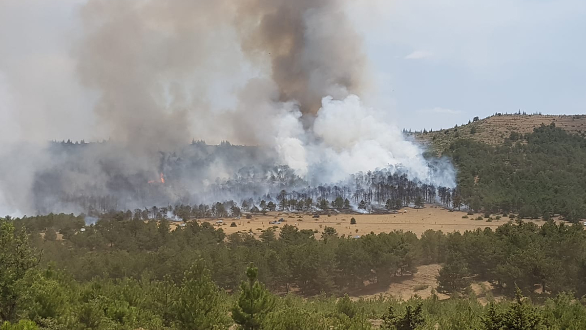 Burdur'da da orman yangını