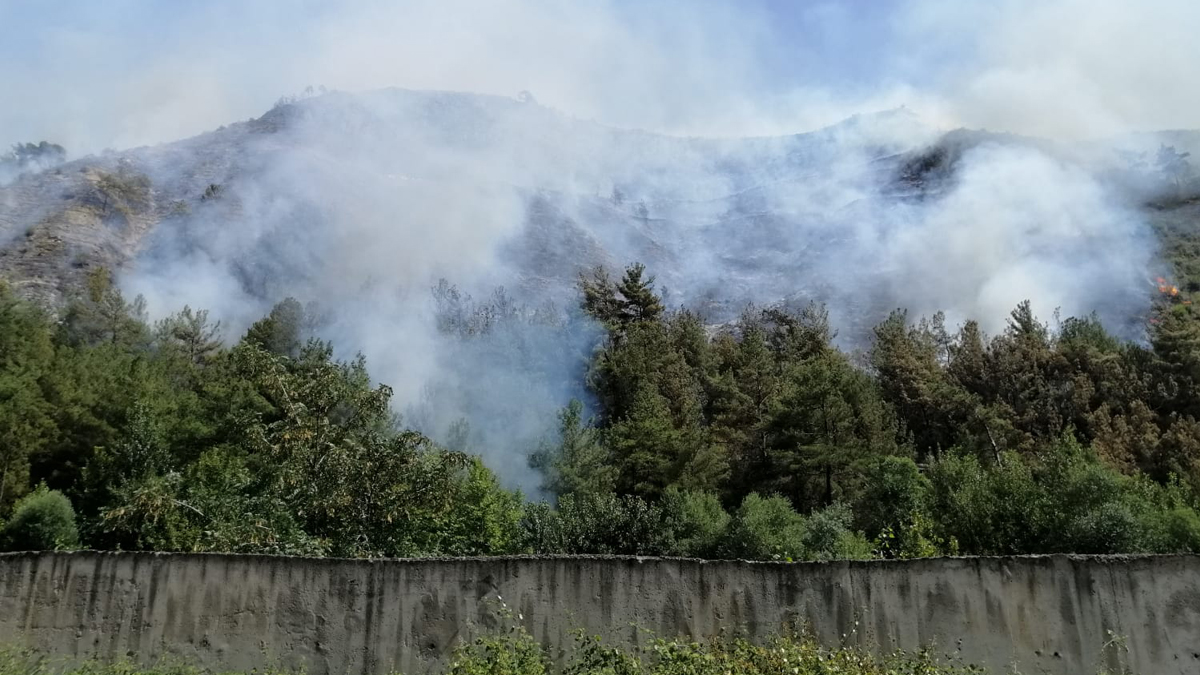 Aynı köyde 2 gün arayla yeniden orman yangını