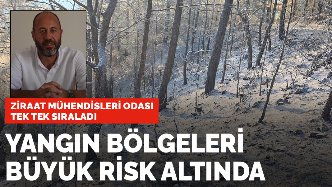 Ziraat Mühendisleri Odası tek tek sıraladı! Yangın bölgeleri büyük risk altında