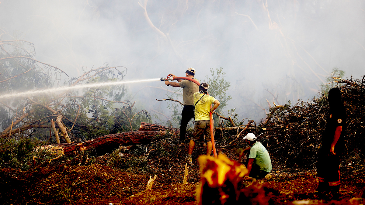 Provokatif paylaşımlara inceleme