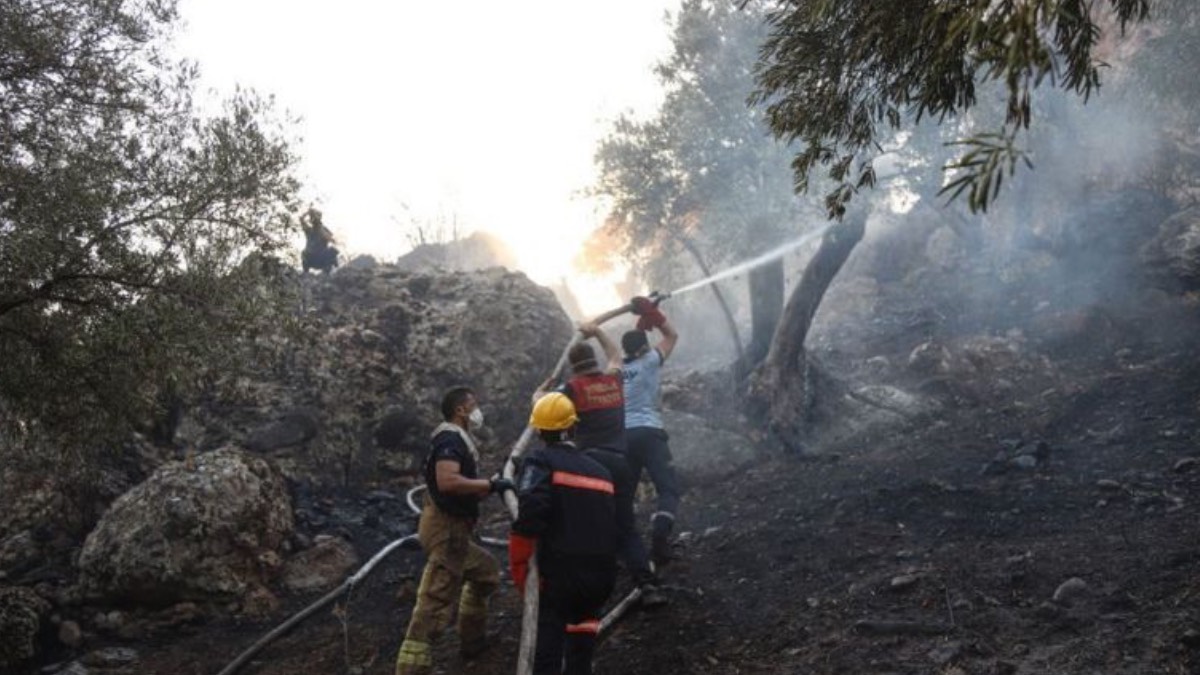 Sevindiren haber günler sonra geldi! 3 bölgedeki yangınlar söndürüldü