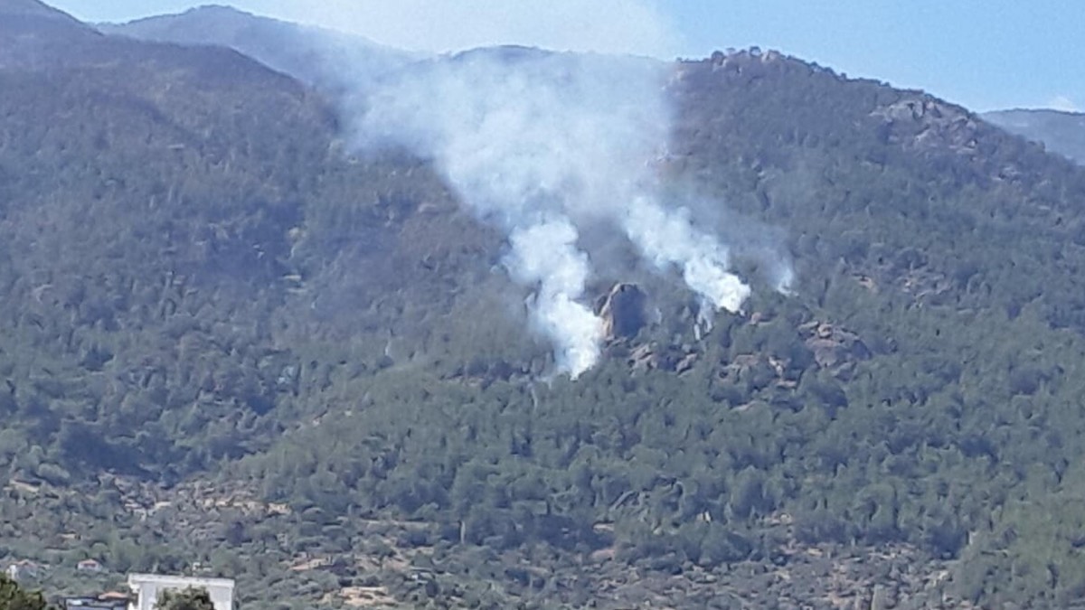 Çine'deki yangın 3 gündür devam ediyor: 6 yerleşim birimi boşaltıldı