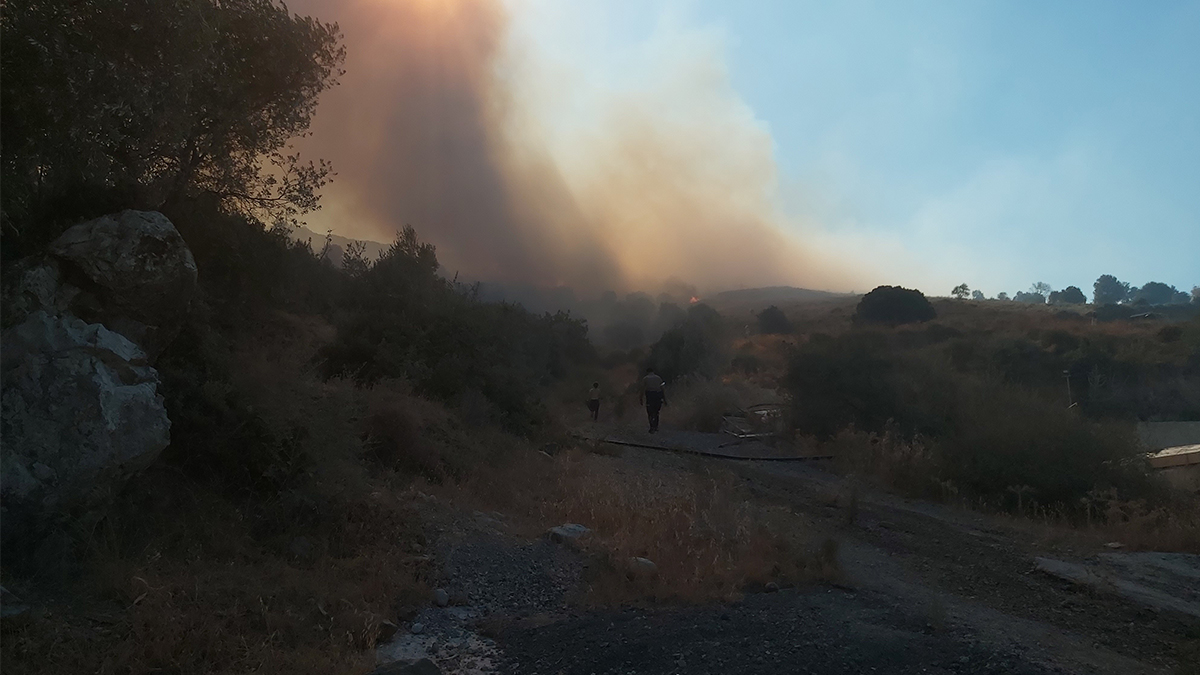 Muğla Datça'da orman yangını söndürüldü