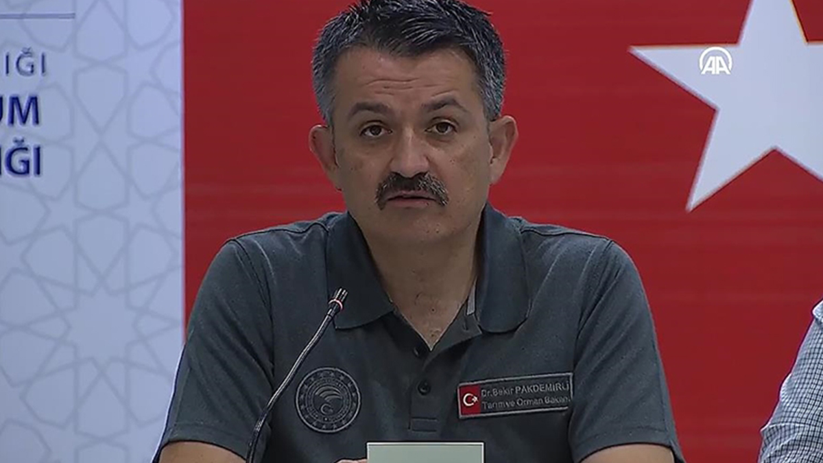 Pakdemirli: Yerleşim yerlerini tehdit eden yangın yok'