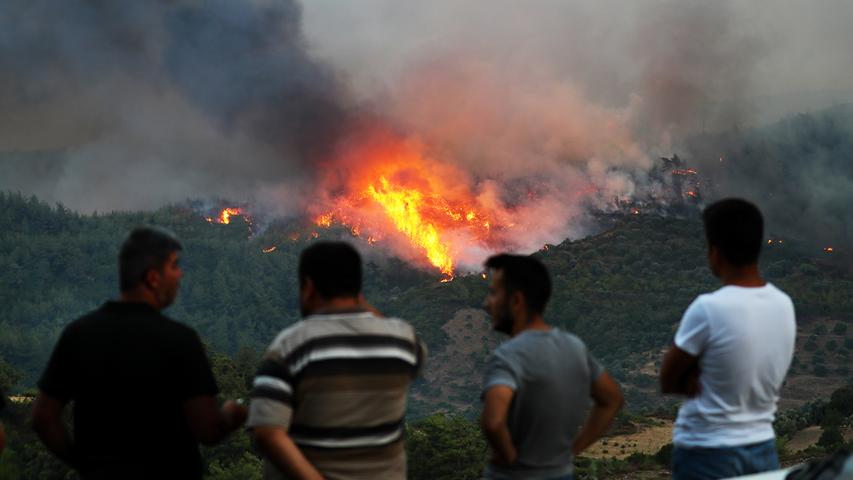 İYİ Partili Taylan Yıldız açıkladı: Orman yangınları neden söndürülemiyor?