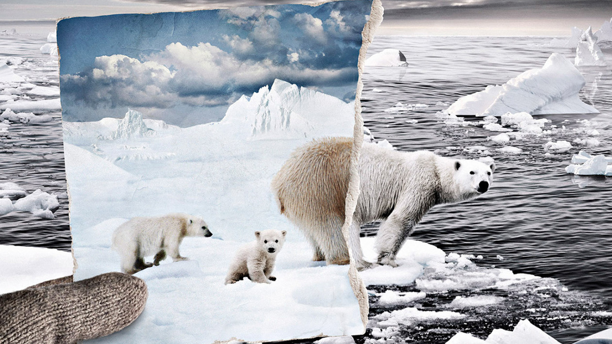 BM'den korkutan iklim değişikliği uyarısı: Yaygınlaştı, hızlandı, yoğunlaştı