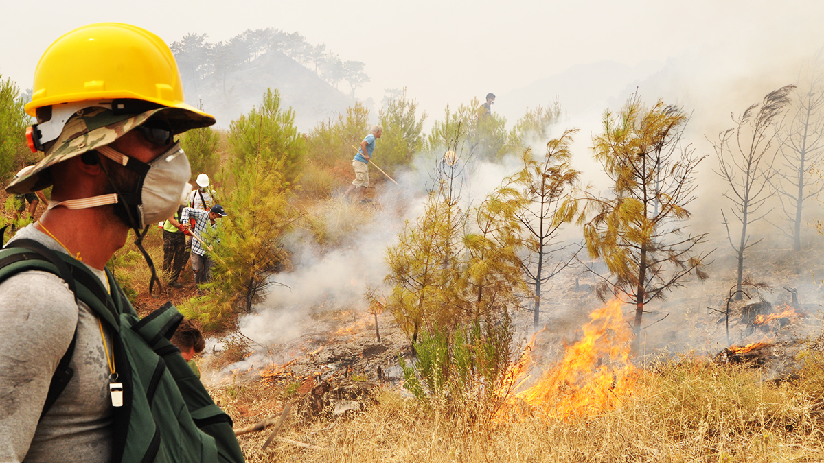 Muğla'da 5 yangın sürüyor: İşte bölgede son durum