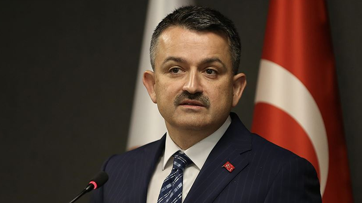 Bakan Pakdemirli: 2 yer dışında tüm yangınlar kontrol altında