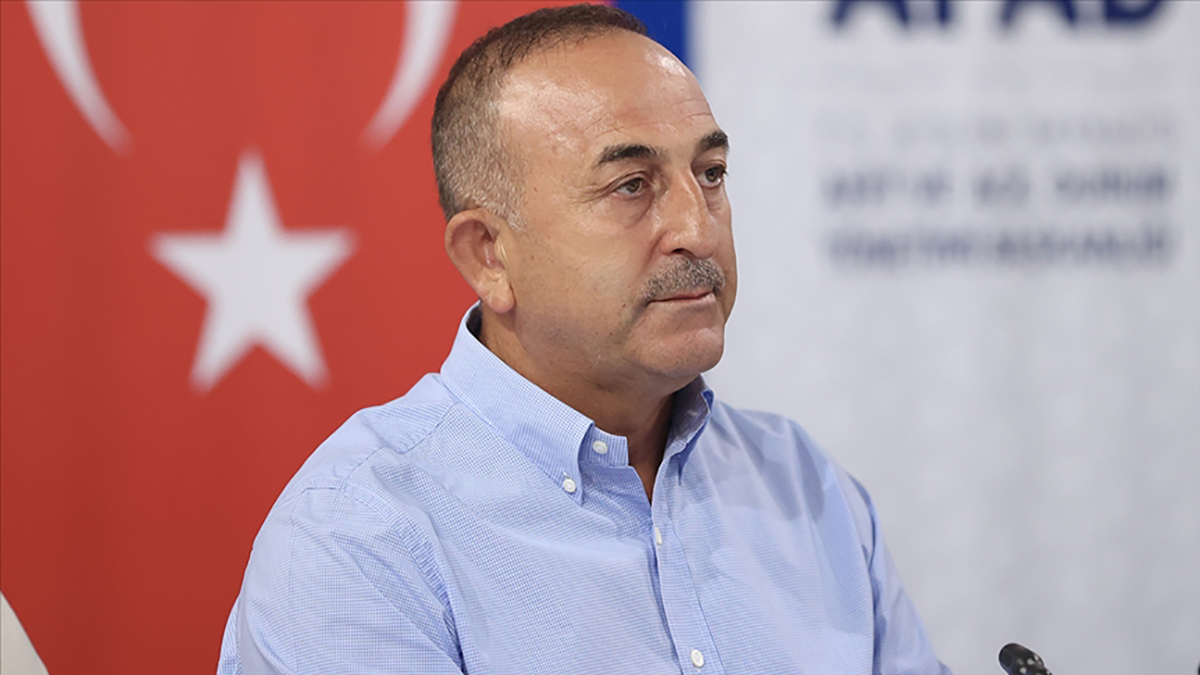 Bakan Çavuşoğlu, Antalya'daki yangınların bilançosunu açıkladı