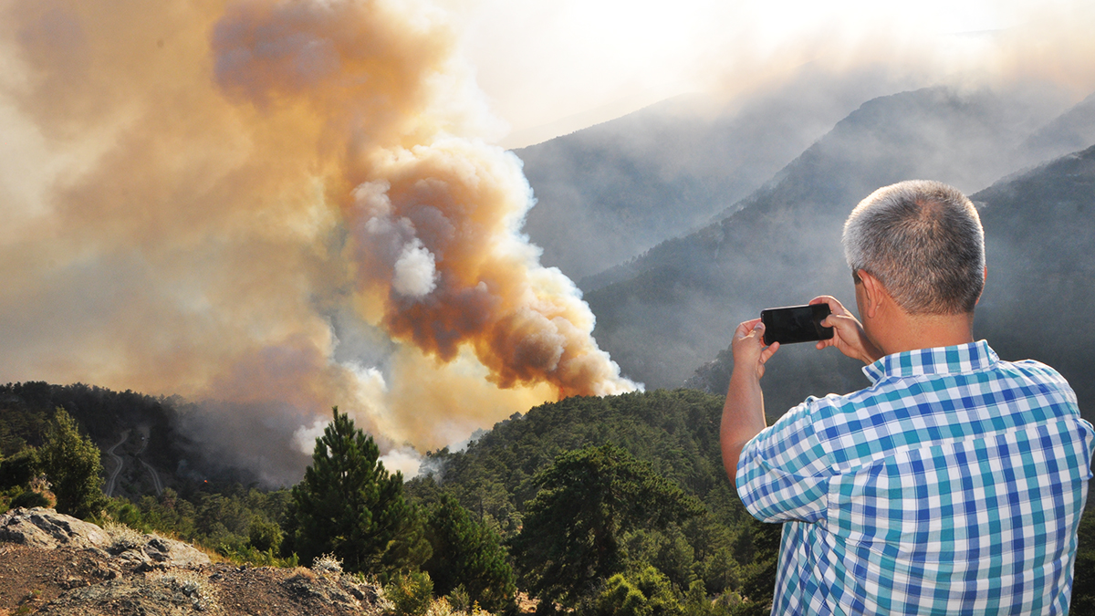 Muğla'da yeni yasak: Görevliler dışında kimse giremeyecek