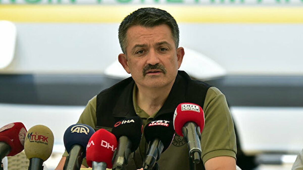 Pakdemirli: Ormanlarımız yeniden küllerinden doğacak