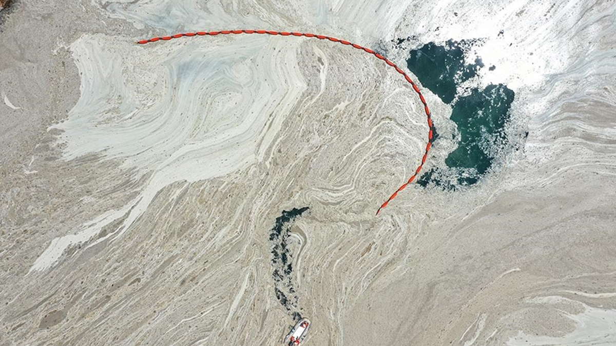 Marmara için acil çağrı! Yüzeyden temizlenen müsilaj dipteki yaşamı öldürecek