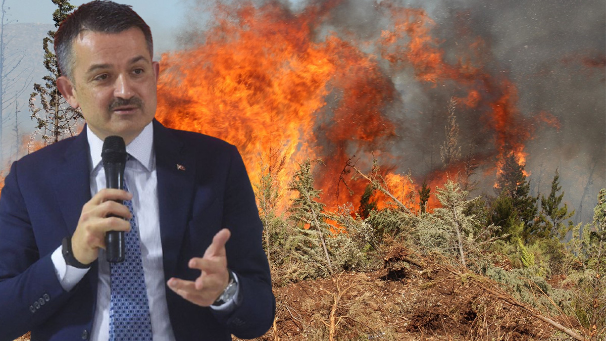Bekir Pakdemirli'den Milas yangını açıklaması: Kanser gibi yayılıyor