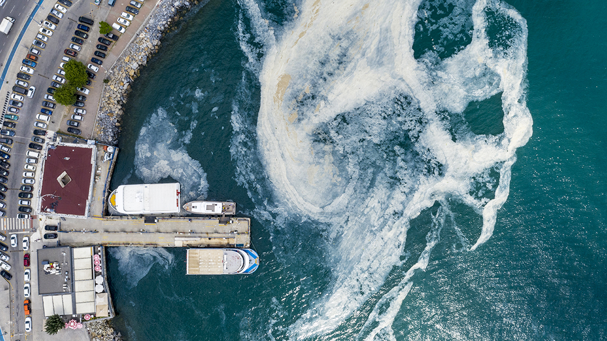 Müsilaj ile ilgili yeni uyarı: Çevre felaketlerine yol açabilir