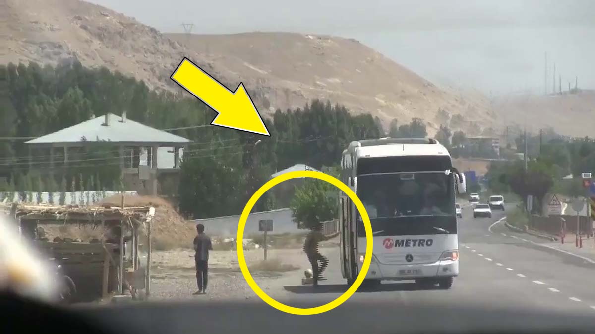 Metro Turizm'e kaçak göçmen taşıma soruşturması