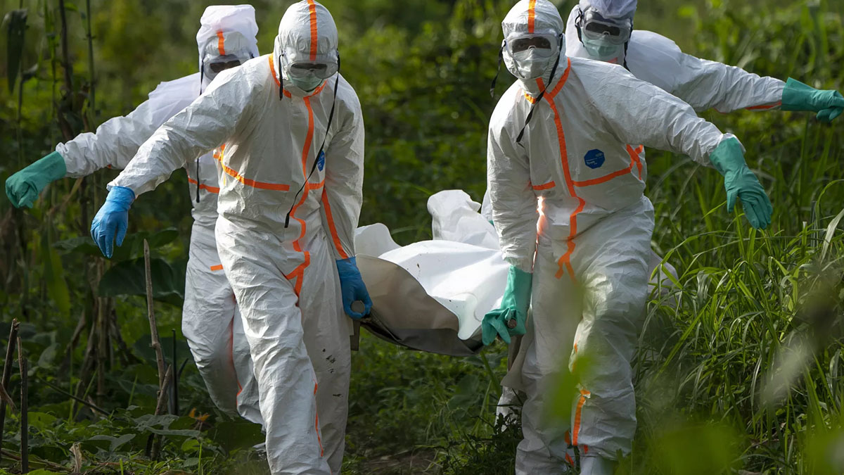 Nijerya'da kolera paniği: 83 kişi hayatını kaybetti