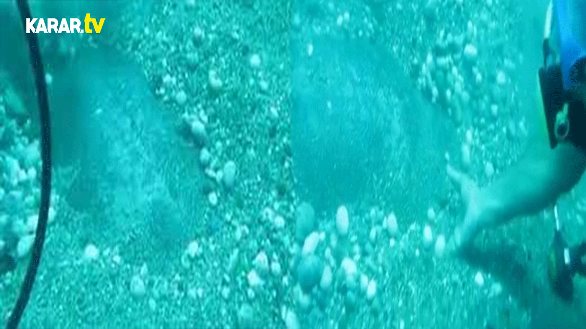 Nesli tükenmek üzere olan dünyaca ünlü Nil Kaplumbağası böyle görüntülendi