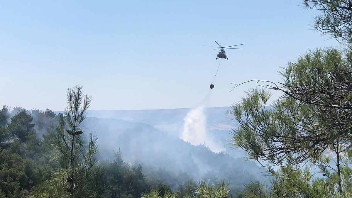 Uşak'taki ormanlık alanda yangın